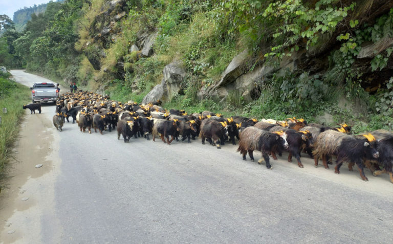 मुस्ताङको च्याङ्ग्रा